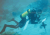 mergulhador debaixo de água a recolher dados 